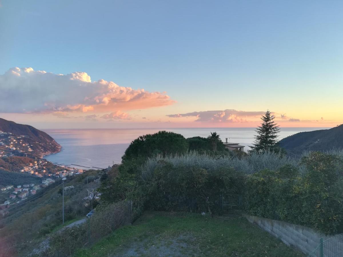 莫内利亚Sentieri Sul Mare别墅 外观 照片
