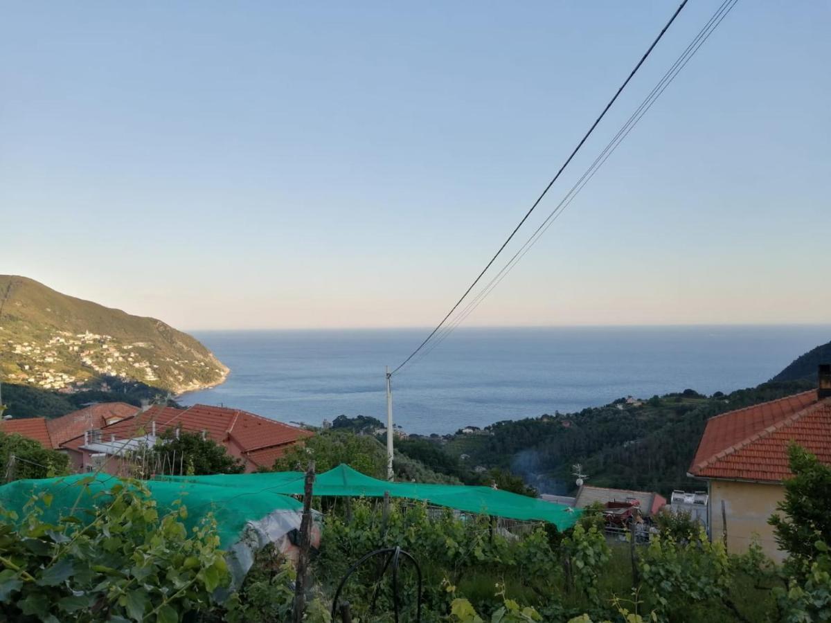 莫内利亚Sentieri Sul Mare别墅 外观 照片